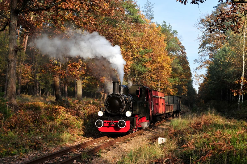 Koleją wąskotorową z Rud do Rybnika i Stanicy